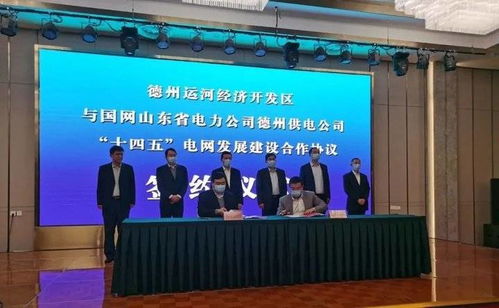 美国得州最大电力公司申请破产,致其破产的原因是什么?