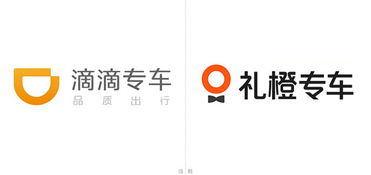 礼橙专车车型一览表,礼橙专车加入条件