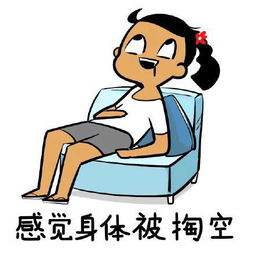 掏空，掏空我的所有,我给你自由是什么歌