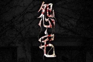 美版咒怨小游戏能通关吗
