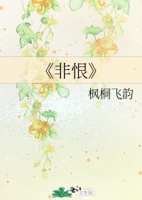 飞韵