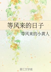风来了有什么特征?