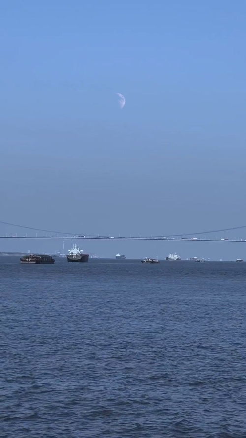 海海,海海人生