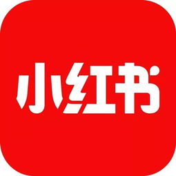 小红书官方网，小红书官方网站
