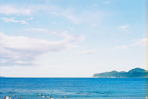 大海，大海视频