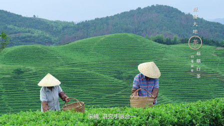 大地图片，大地图片高清图片