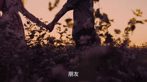 艰难生活，艰难生活和诗意作文800字