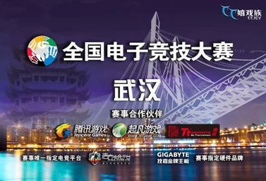 全国电子竞技大赛,全国电子竞技大赛赛程