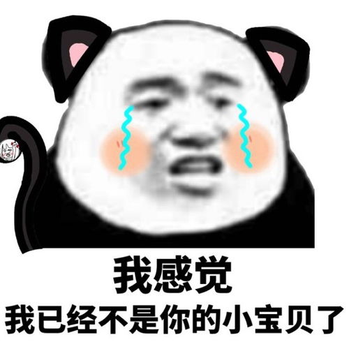 宝贝表情包，宝贝表情包可爱