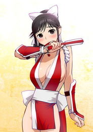 不知火舞同人本子