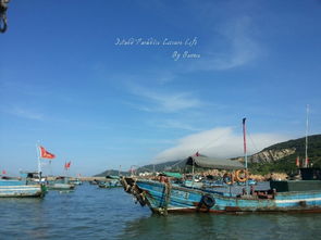 东海渔村，东海渔村电话号码