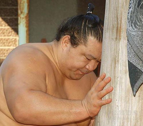 相扑力士，相扑力士宝可梦
