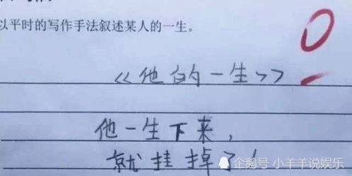爆笑0分考卷，爆笑0分考卷视频