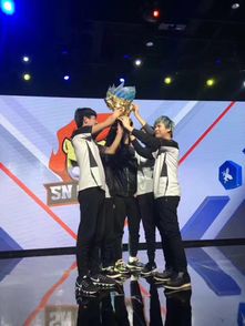 苏宁战队成员介绍国籍