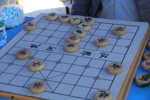 棋的种类是什么?