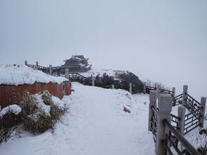 雪乐山，雪乐山游戏公司