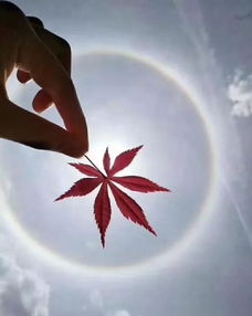 近月,近月江楼听水韵下一句