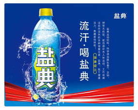 盐典的介绍