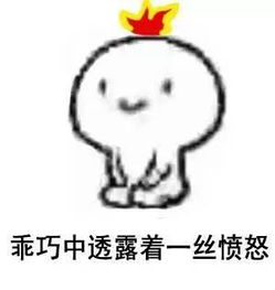 乖巧表情包，乖巧表情包猫