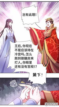 后宫之主