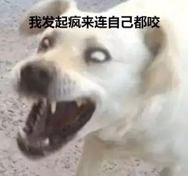 奈斯表情包，奈斯表情包老爷爷GIF