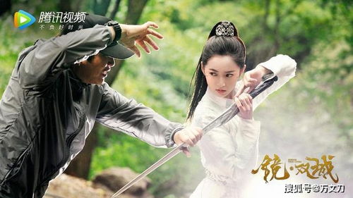 镜双城剧情，镜双城剧情介绍