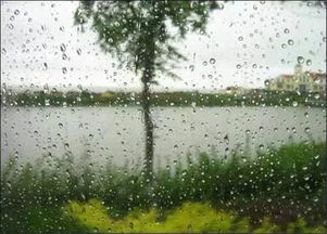 梅雨的意思
