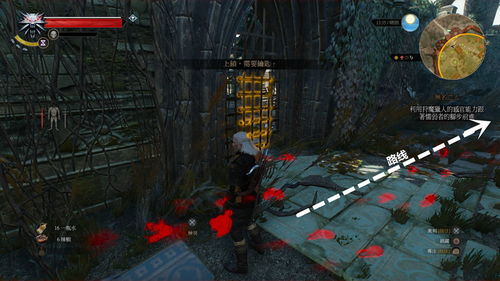 巫师3无名之人，巫师3无名之人狼人救不救