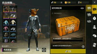 如何下载刺激战场国际服手机版