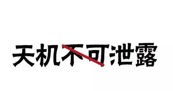 天机不可泄露，天机不可泄露下一句