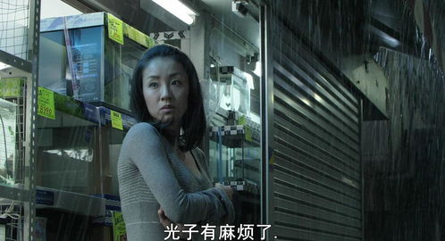 冰冷热带鱼do在什么时间段