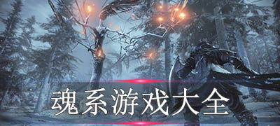 魂系，魂系游戏是什么意思