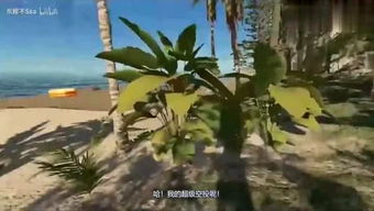 前行的路上充满荆刺的句子,人生布满荆棘,励志前行的句子
