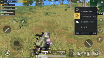 国际版吃鸡手游叫什么