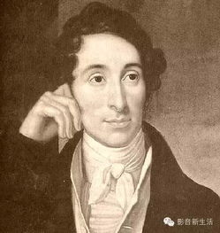奥伯龙小蛾子形态