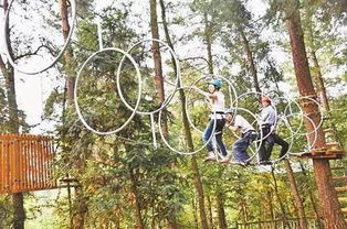 热带森林探险有哪些注意事项热带森林探险注意事项介绍