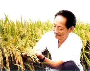我国“杂交水稻之父”袁隆平,有3个儿子,他们如今都过得怎样?