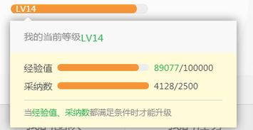 我的在哪里查，如何查看我的