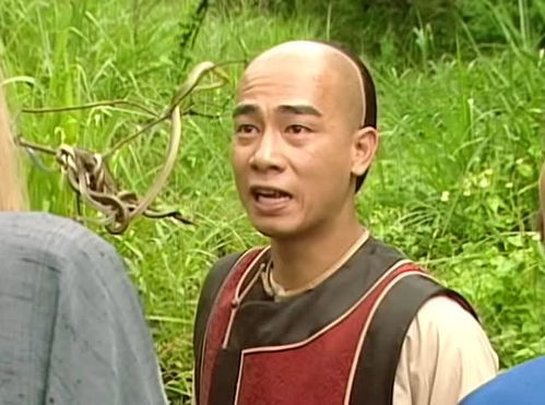 豹胎易筋丸，韦小宝怎么解的豹胎易筋丸