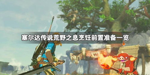 塞尔达怎么烹饪，塞尔达怎么烹饪火辣海陆煎烤