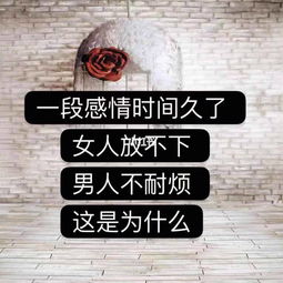 还有其他,正派.反派的出场人物的详细资料与图片!
