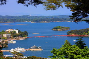松岛的简介