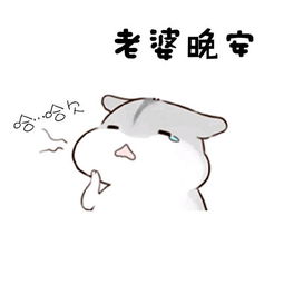 老婆表情包，老婆表情包可爱