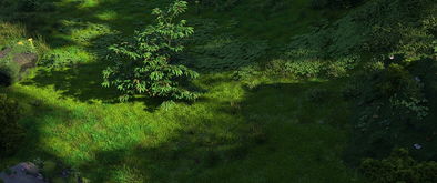《森林2》在steam叫什么?