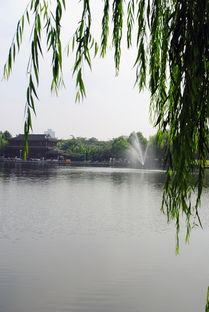 绣湖，绣湖旅馆