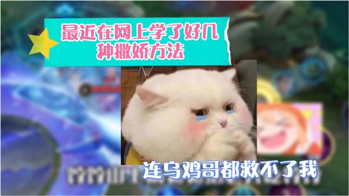 乌鸡哥什么时候的梗