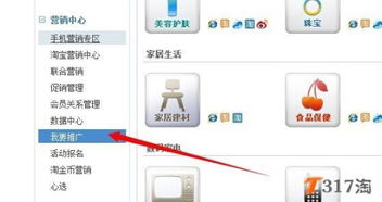 淘代码的买家使用
