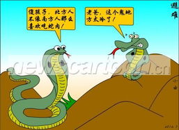 避难的类型有