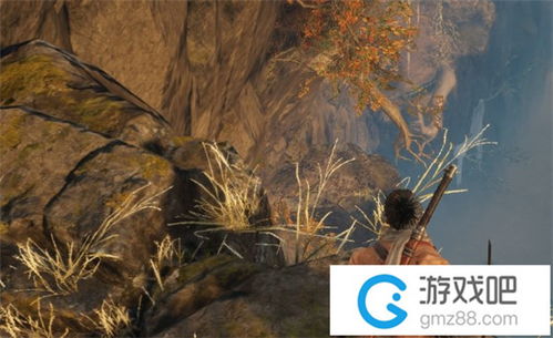 只狼干柿子和鲜柿子先后顺序