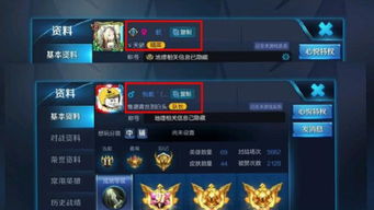 王者情侣昵称
